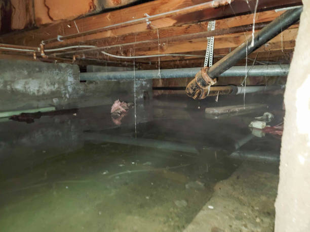 Best 24/7 water damage repair  in Savage, MD