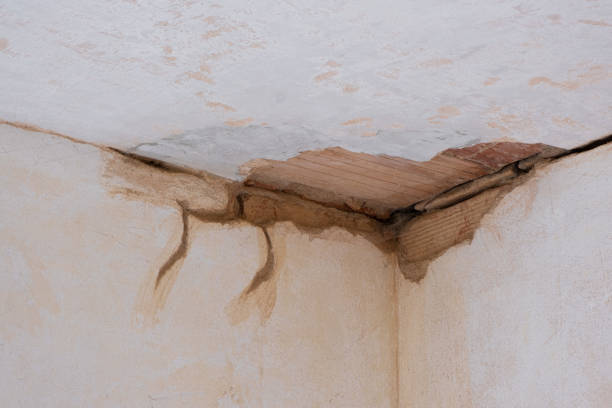 Best Ceiling water damage repair  in Savage, MD