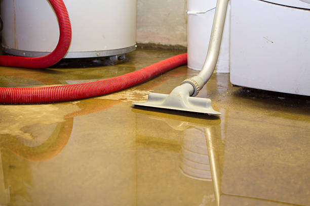 Best 24-hour water damage restoration  in Savage, MD