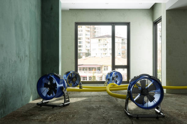 Best Water damage restoration near me  in Savage, MD