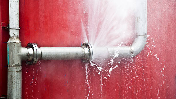 Best Basement water damage restoration  in Savage, MD
